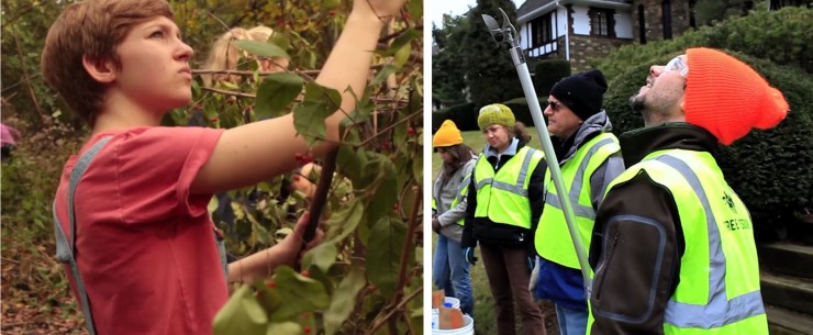 conservation-handbook-0