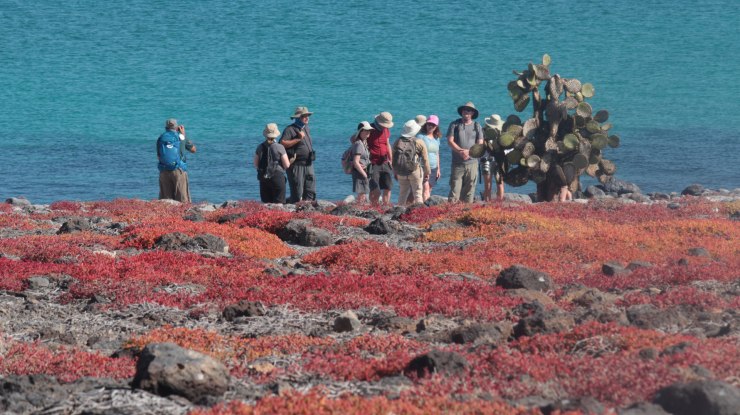 crawlerdoc_pitchstill7